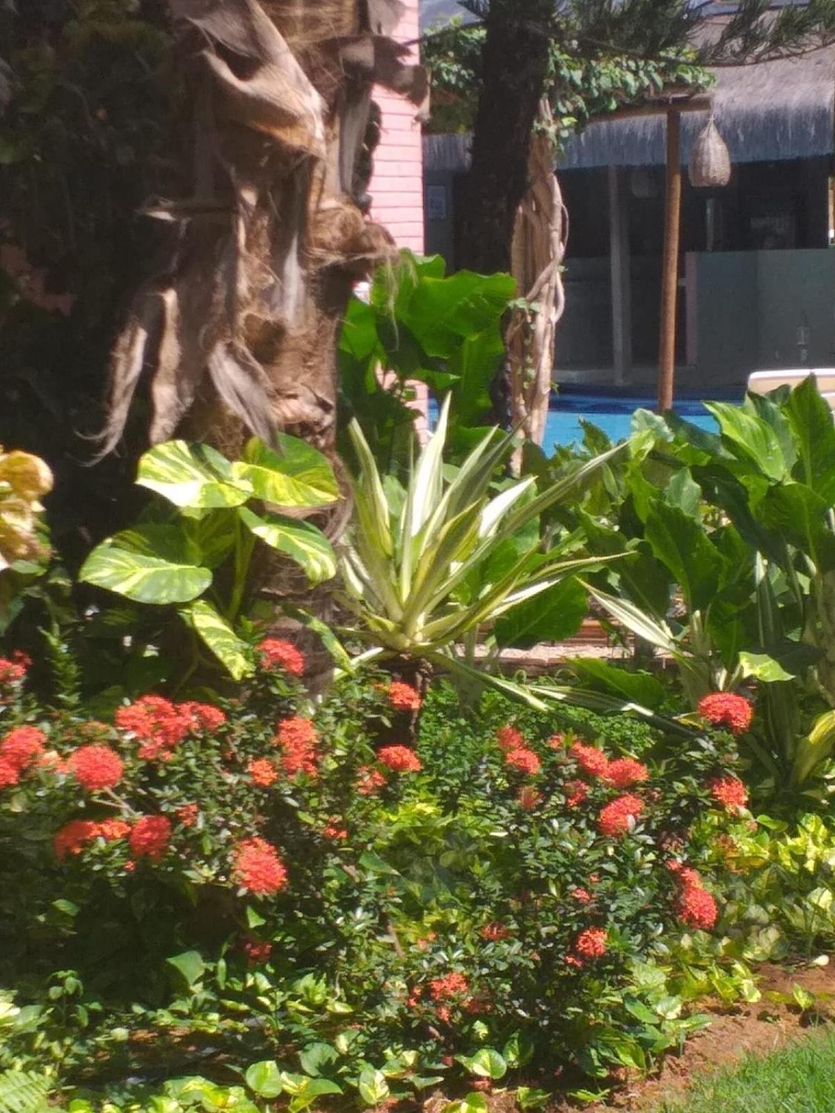 Chale Tulipa - Centro Praia Da Pipa Praia de Pipa Exterior photo